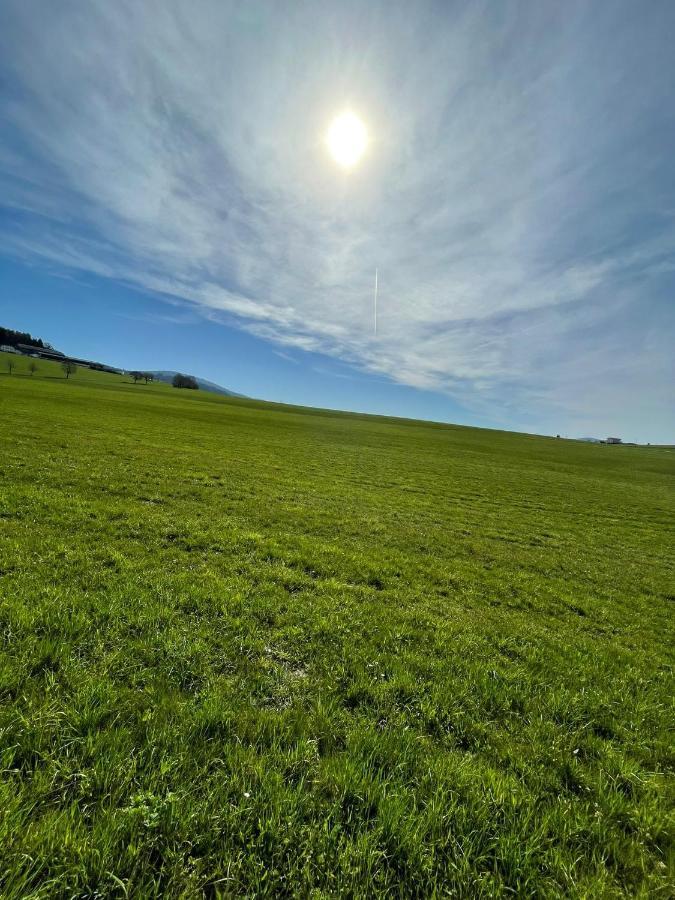 Hundefreundliche Unterkunft Im Muehlviertel In Oberoesterreich Freundorf المظهر الخارجي الصورة